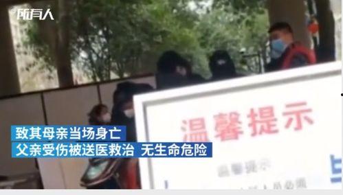 深圳命案最新爆料新闻,疑点重重，案情再掀波澜