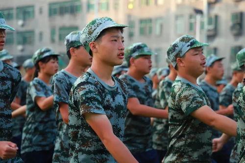 最新军训爆料视频大全,揭秘军营生活瞬间